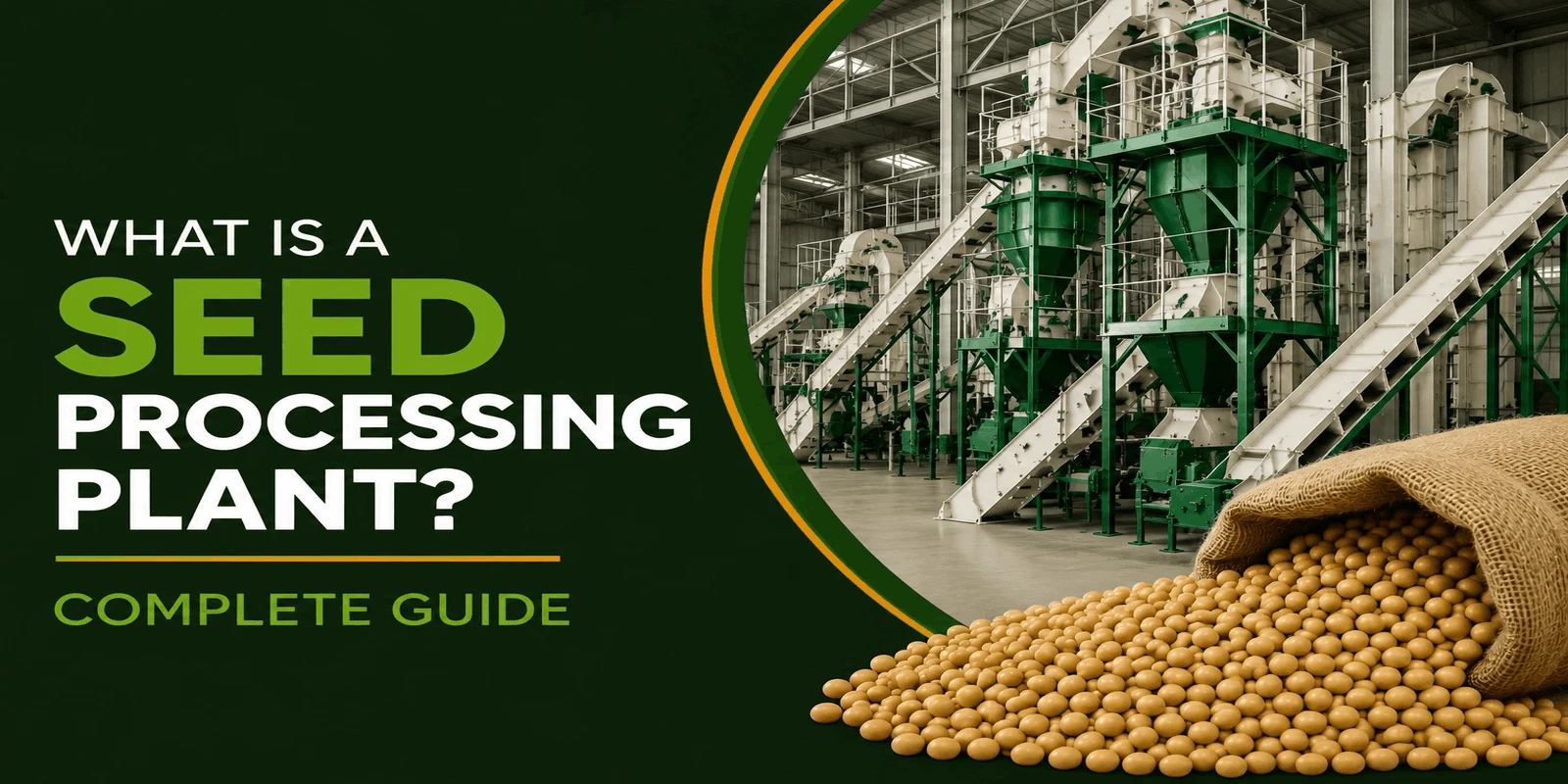 What is a Seed Processing Plant? Complete Guide