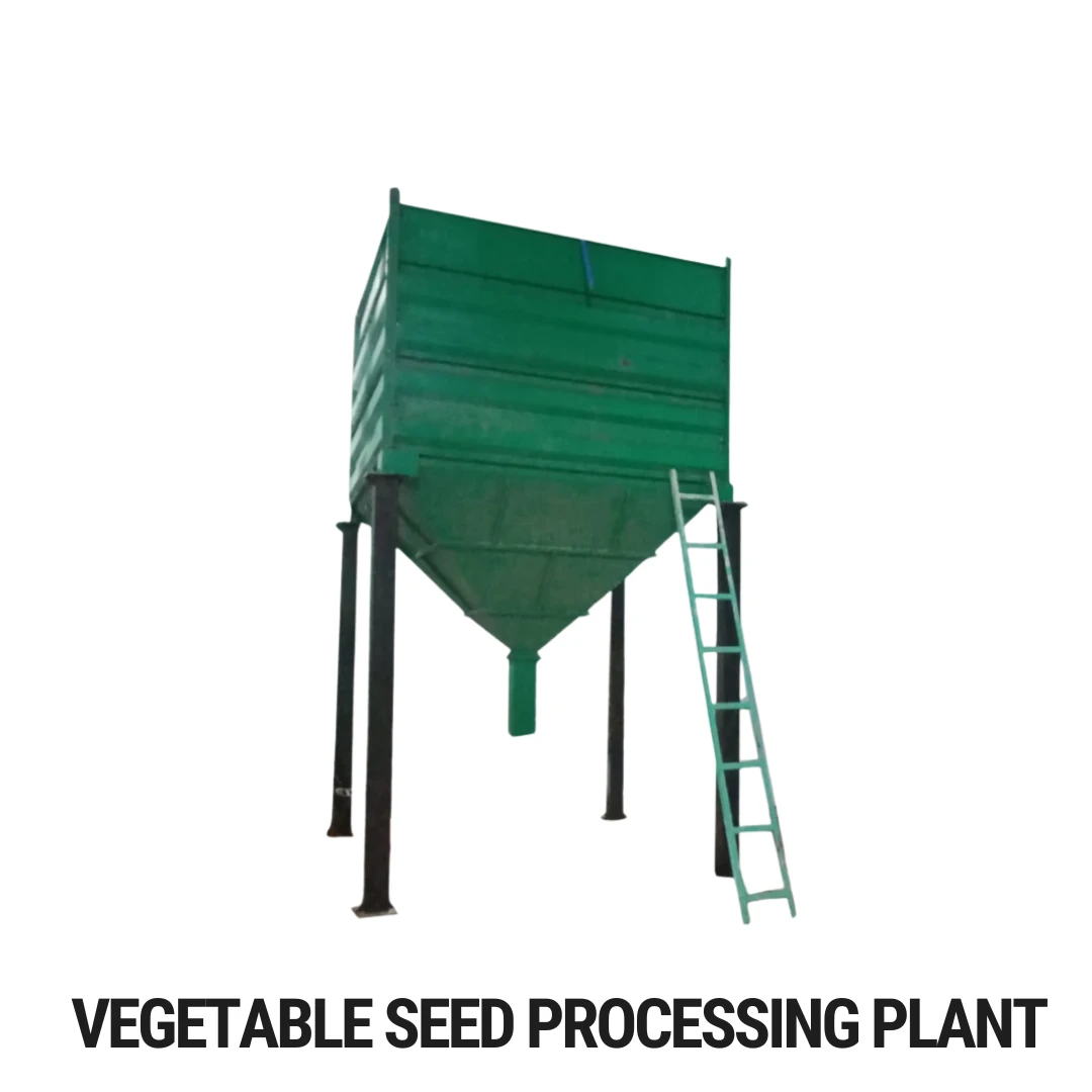 Vegetable Seed Processing Plant