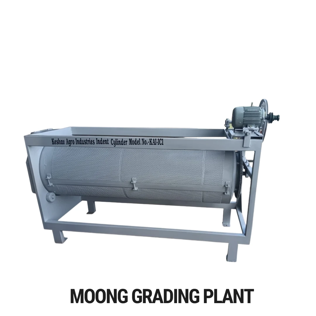 Moong Grading Plant