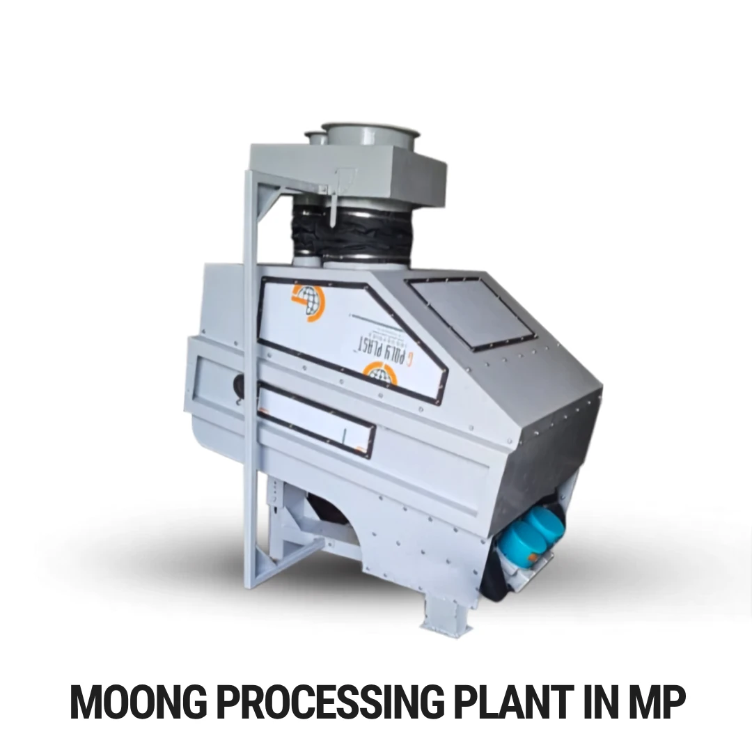 Moong Processing Plant in MP