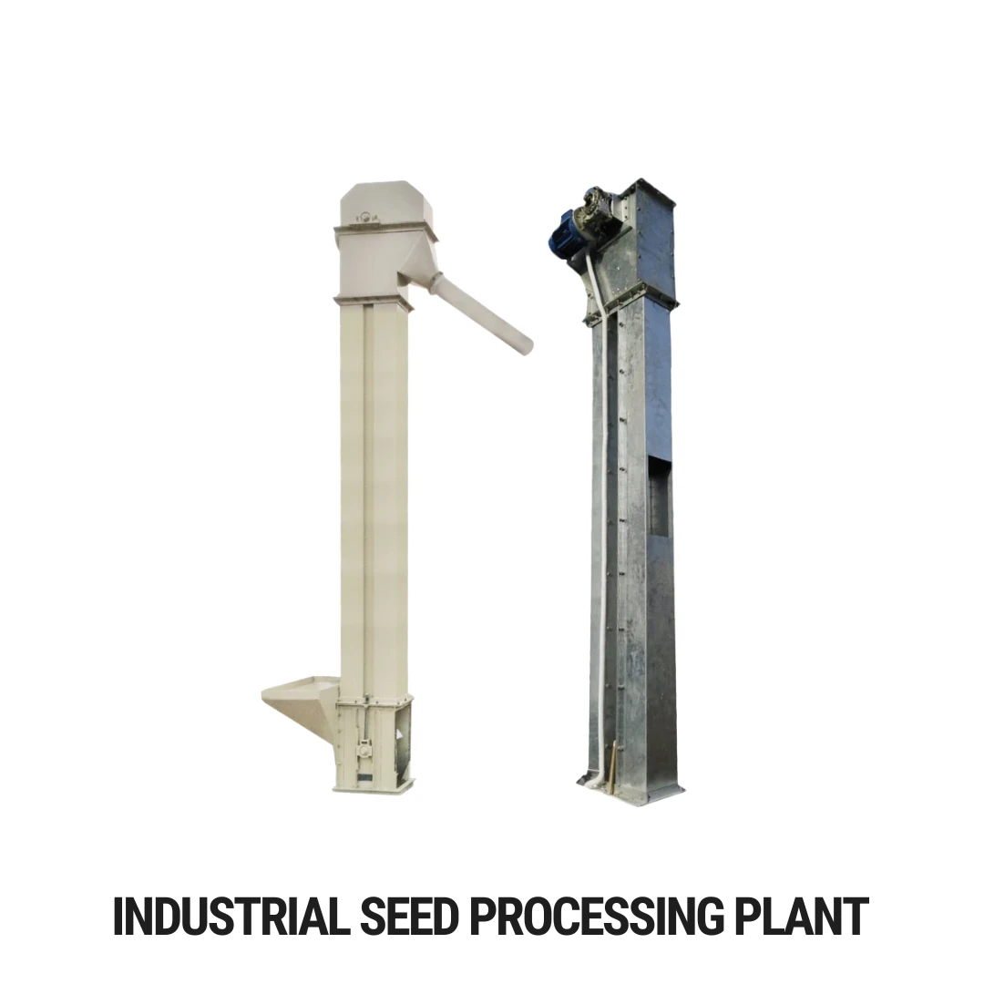 Industrial Seed Processing Plant